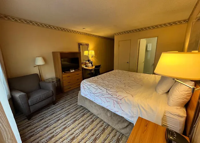 Family Friendly Hotels Travelodge By Wyndham Seattle By The Space Needle